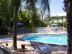 Relax by the pool